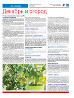 TK_49-2023_Страница_21