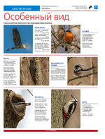 TK - №12 - 2024_Страница_23