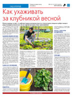 ТК №19-20_Страница_13