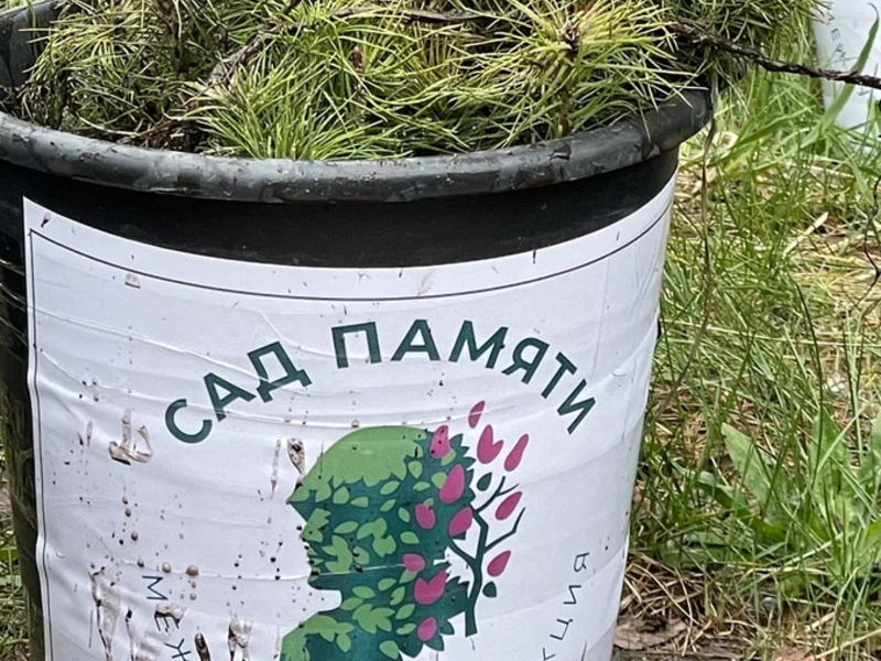 sadpamyati2024-1
