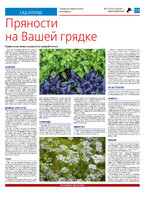 ТК №21 - 2024_Страница_13