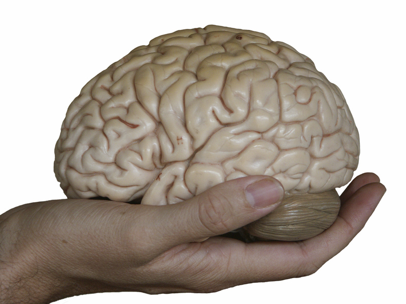 field_image_brain-in-hand
