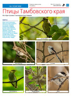 ТК №31 - 2024_Страница_21
