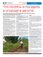 ТК №32 - 2024_Страница_12
