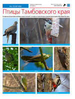 ТК №32 - 2024_Страница_15