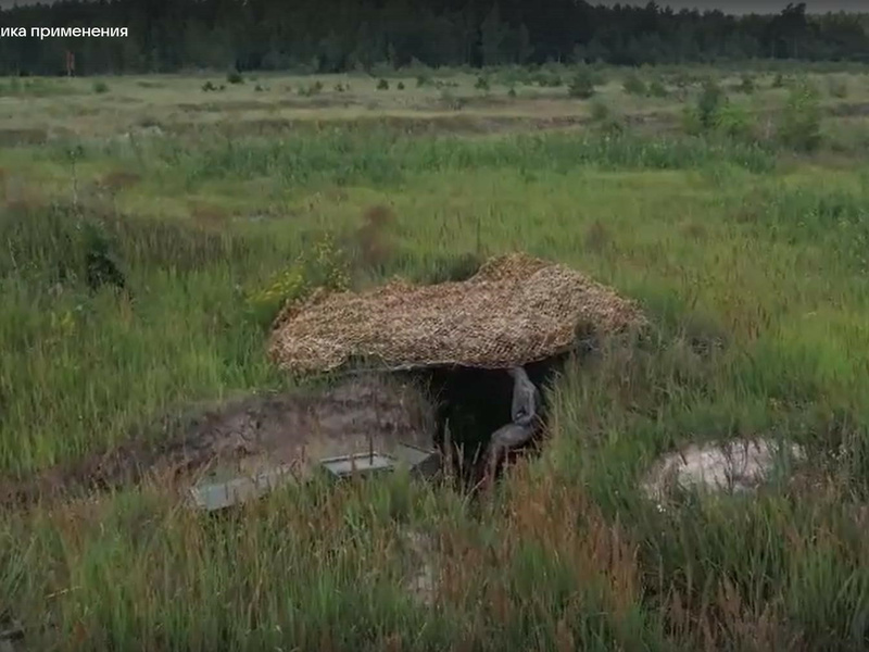 Видео Бекасы