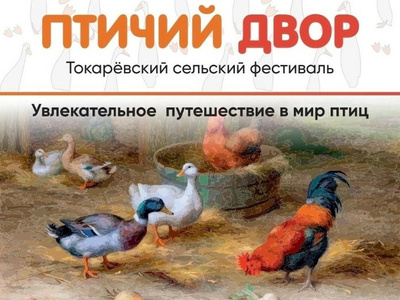 Культура