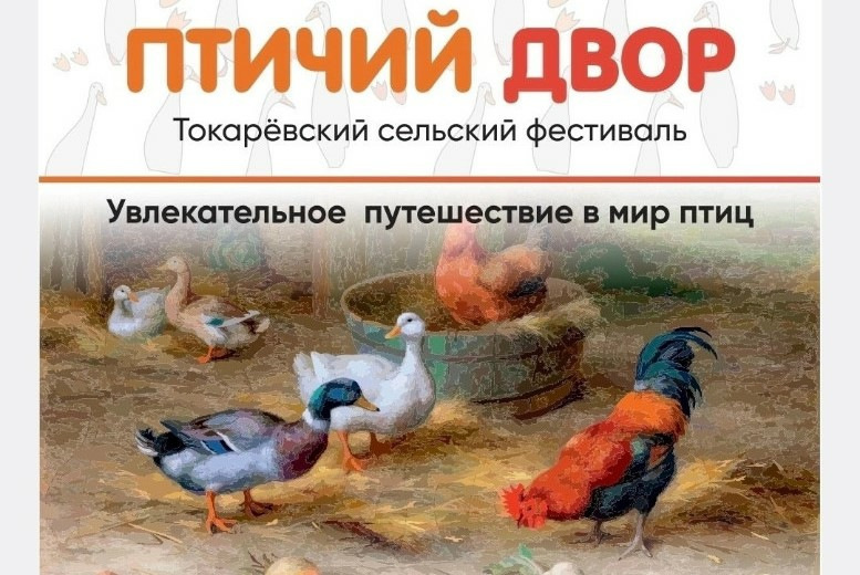 Культура