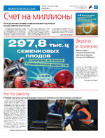 ТК №37 - 2024_Страница_11