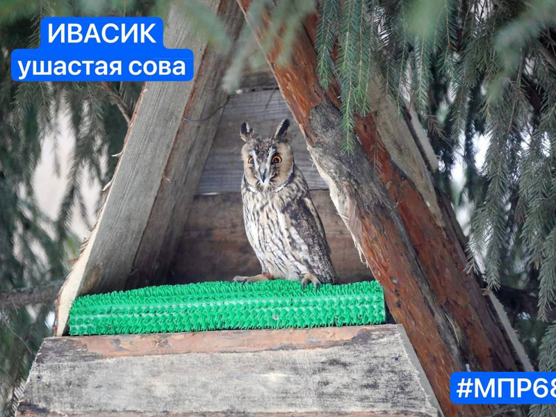 nYvAWDMkI30