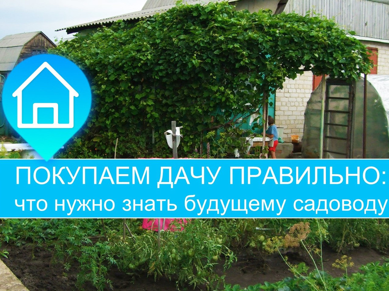 Покупаем дачу