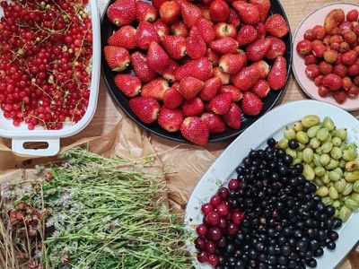 347268212197863_11zon