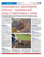ТК №39 - 2024_Страница_17