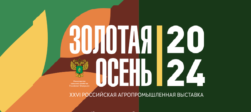 zolotaya-osen2024(1)