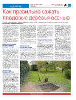 ТК №41 - 2024_Страница_11