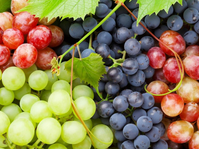 vinogradnoe_assorti-900x600