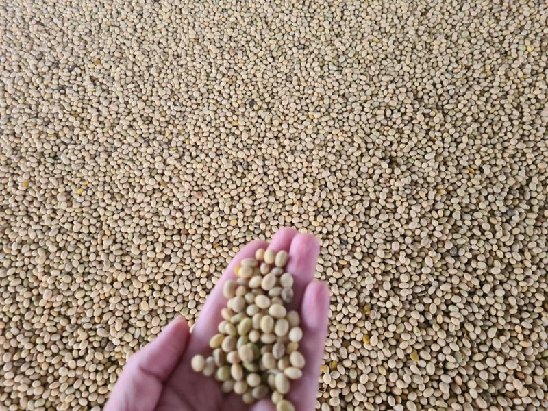soya-tambov2022