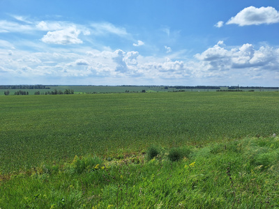 Земельный пай