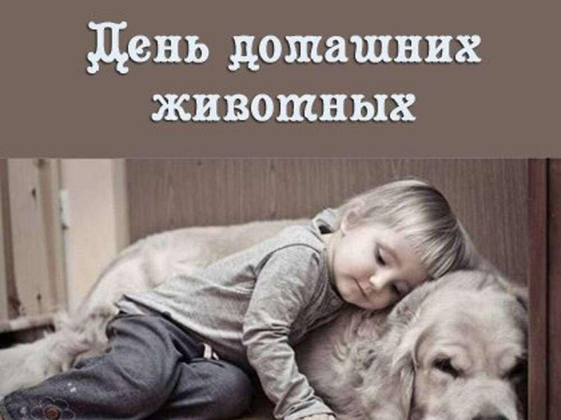 924d8bbf-1f11-5bce-94b6-866c3ad59e9f