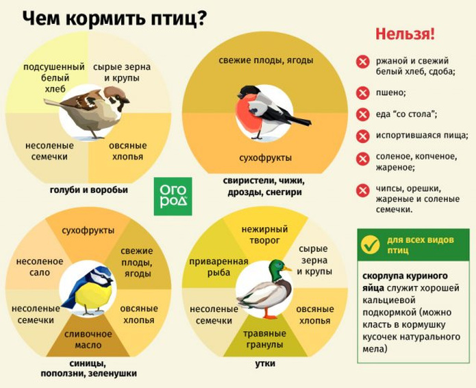 Сад-огород