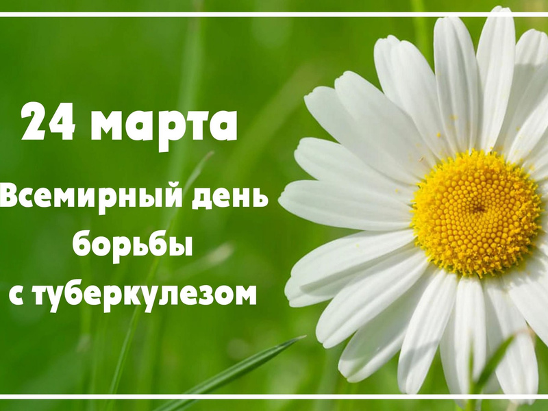 5e03dce8-6a8e-5cef-bb50-cdd4016e90d9